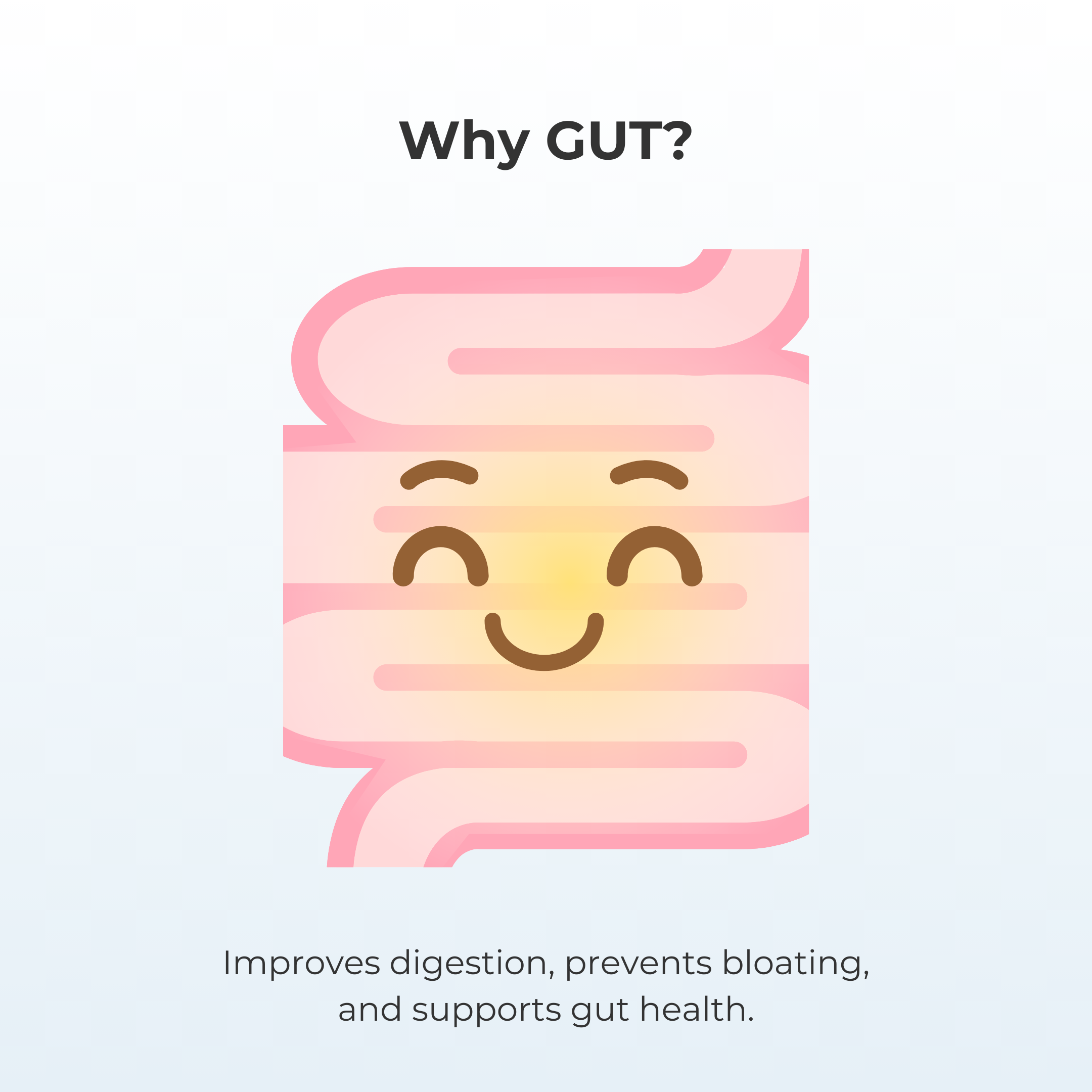 GUT - Digestive Aid for Dogs | Natural Probiotic Supplement | My Bark ...